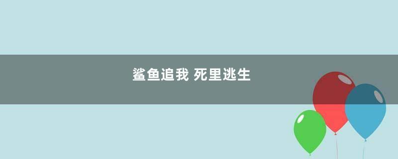 鲨鱼追我 死里逃生